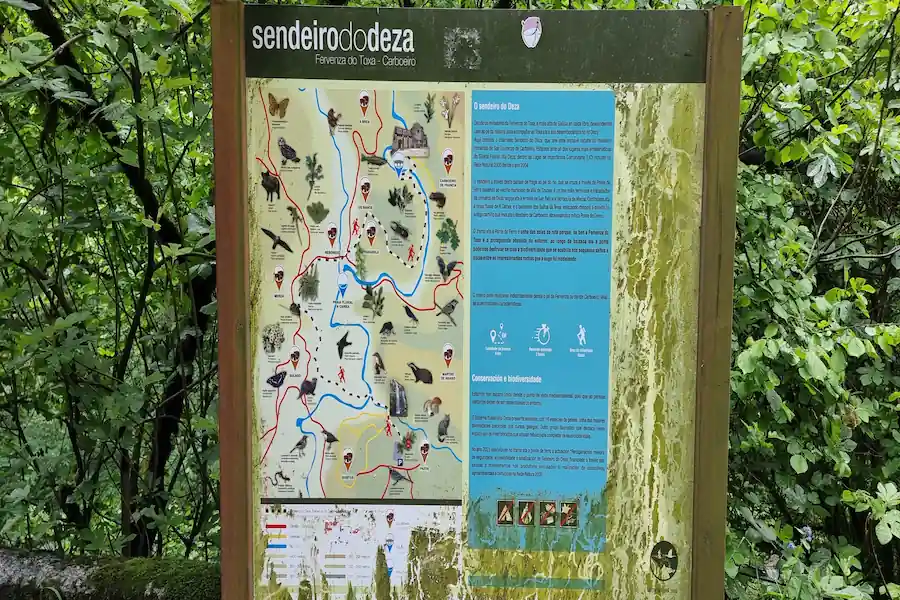 Consejos prácticos para hacer la ruta a la Fervenza do Toxa con niños