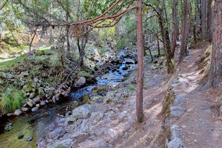 Camino de inicio desde el Área Recreativa de La Isla hacia la Presa de Pradillo