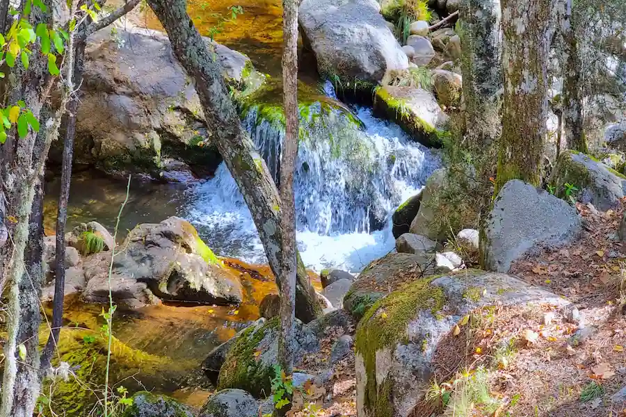 Paisaje del Arroyo de la Angostura mostrando la mejor época del año para la ruta