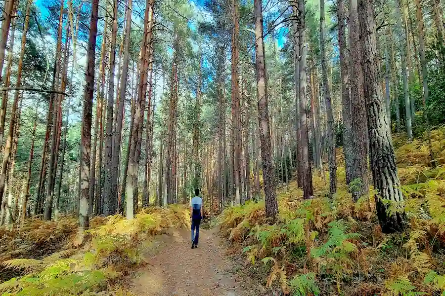 Vistas de otras alternativas de senderismo por la Sierra de Guadarrama
