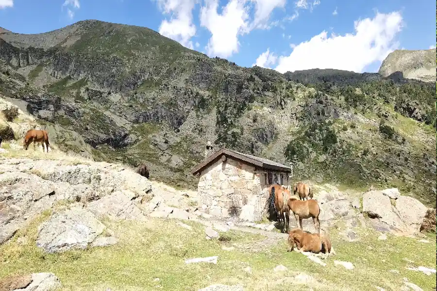 Ruta Circular por el Refugio Coms de Jan y Regreso al Parking