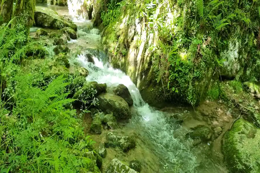 Arroyo de las Xanas Cauce del arroyo de las Xanas