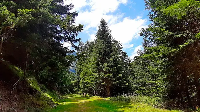 Camino de vuelta por los paisajes de Frédancon
