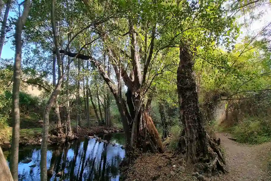 El sendero sigue el curso del río Manzanares