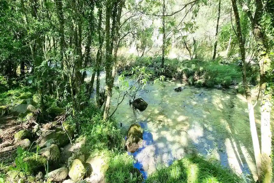 Fotografías del río Caldo Disfrutando de la fotografía en el río Caldo