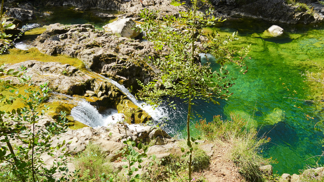 Pequeños saltos de agua y pozas cristalinas