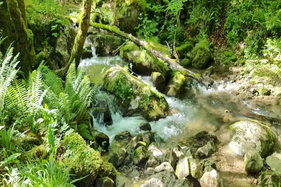 Saltos de agua Pequeños saltos de agua en el arroyo
