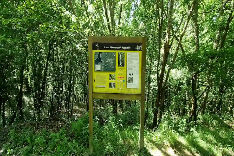 Preguntas frecuentes sobre la Ruta Cascada Augacaida Preguntas frecuentes sobre la Ruta Cascada Augacaida