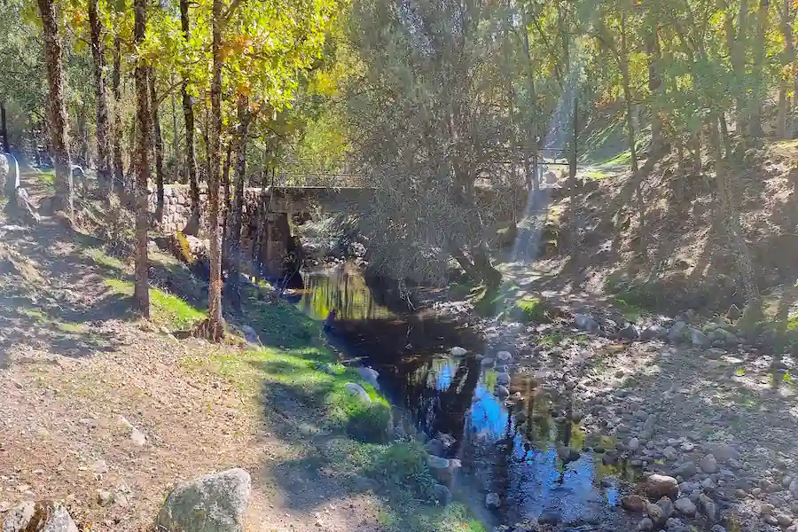 Agua fluyendo en el primer contacto con el arroyo