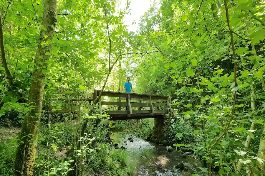 Puente sobre el arroyo Puente de madera cruzando el arroyo