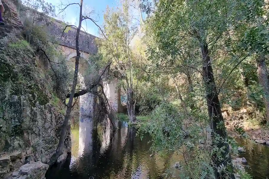 Vistas del entorno fluvial desde el puente