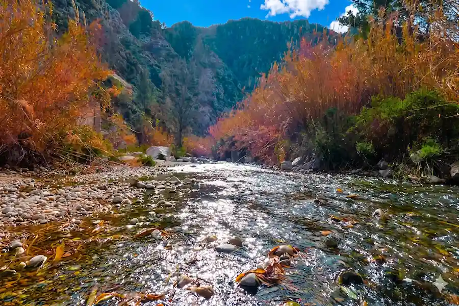 Río Serpis a su paso por Villalonga en la Vía Verde del Serpis