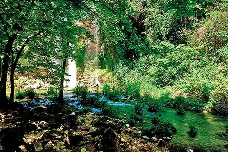 Sendero de las cascadas