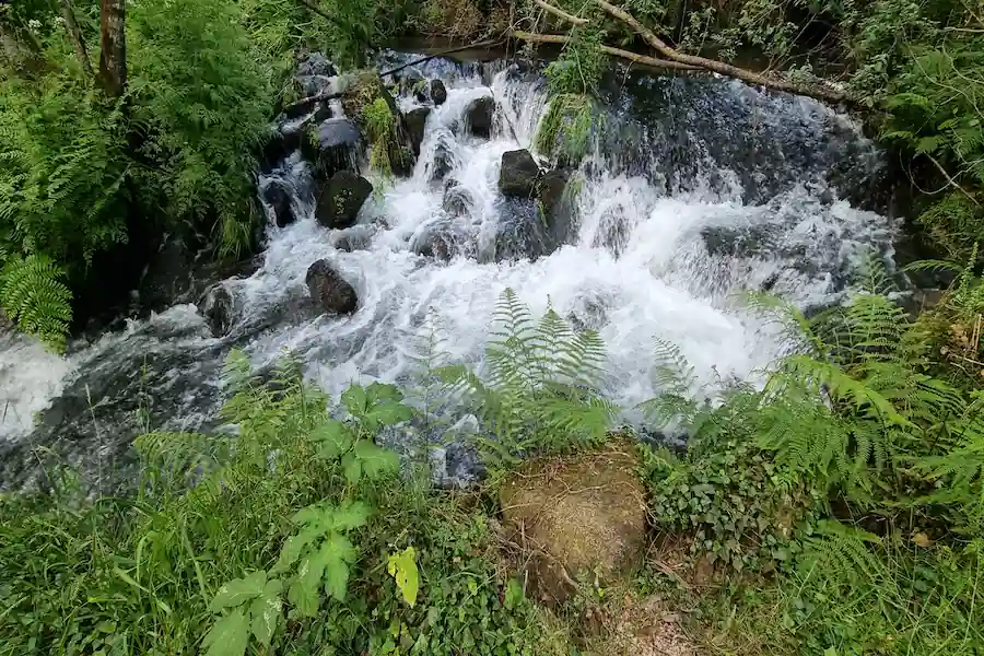 Rego da Armenteira en la Ruta da Pedra e da Auga
