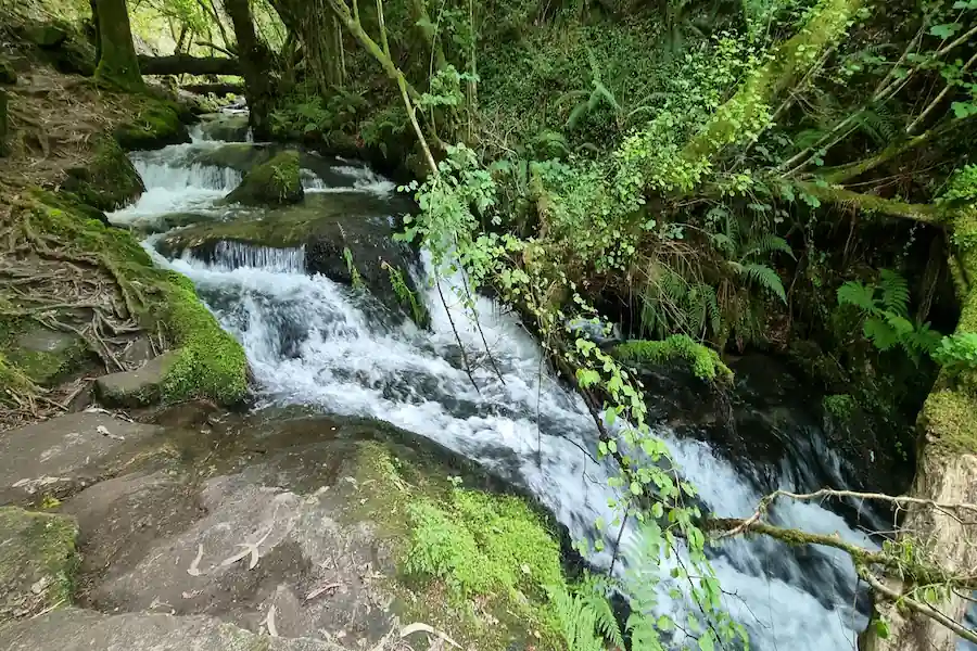 Saltos de agua junto al sendero en la Ruta da Pedra e da Auga