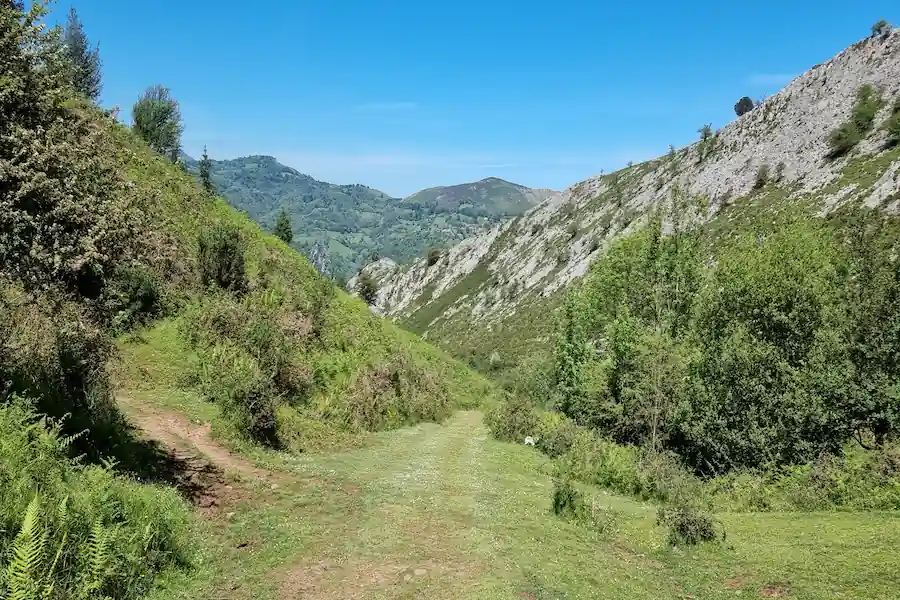 Senda de Valdolayes Caminando por la frondosa senda de Valdolayes