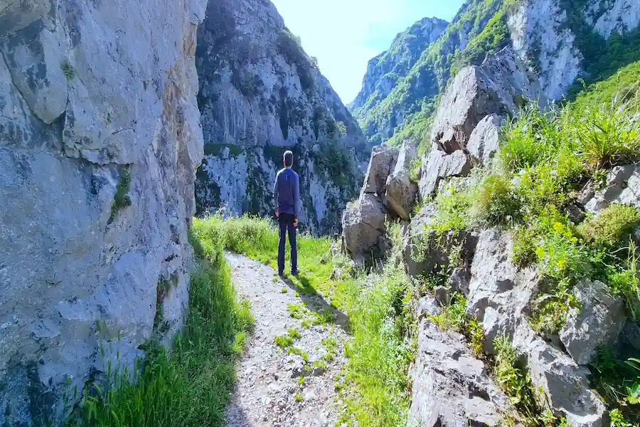 Sendero en el desfiladero Sendero tallado en la roca del desfiladero