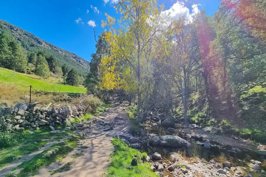 Sendero llano y fácil de seguir junto al arroyo
