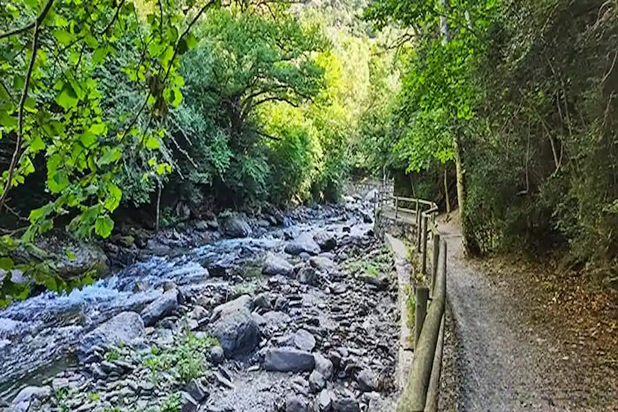 Sendero boscoso con sombra junto al río
