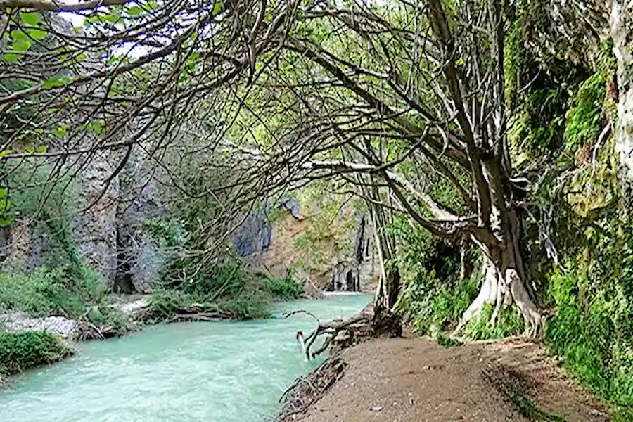 Pasarelas que siguen fielmente los meandros del río Vero