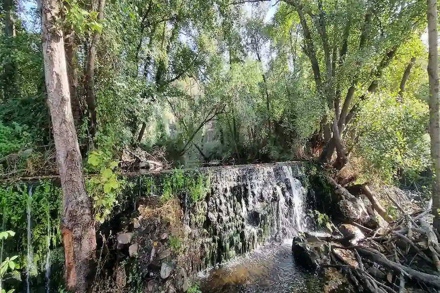 Pequeño salto de agua en el río Manzanares