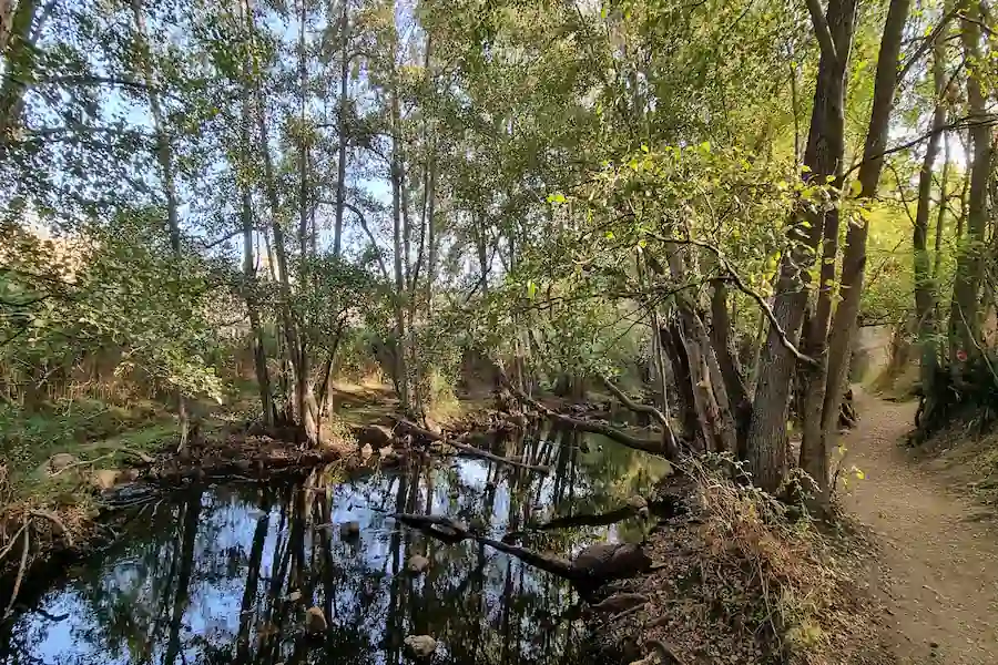 Aguas cristalinas características de La Pedriza