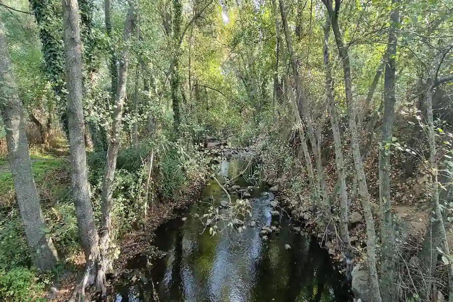 Perspectiva del río Manzanares encajonado entre rocas