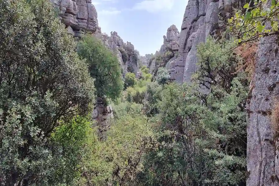 Pasillos de roca cerrados durante el recorrido por El Torcal