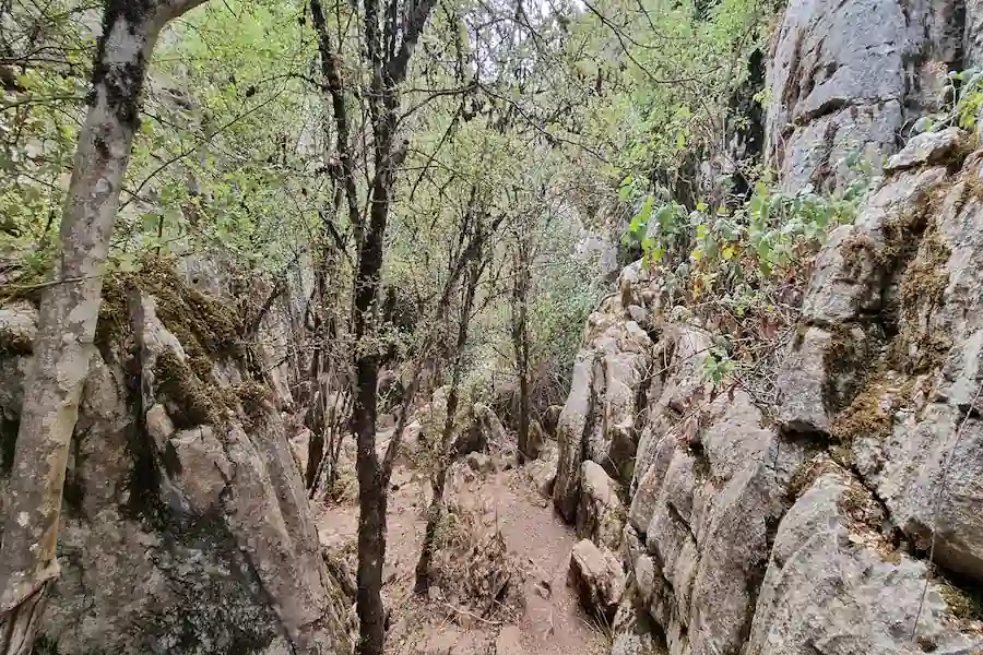 Senderistas caminando entre las altas paredes kársticas del Torcal
