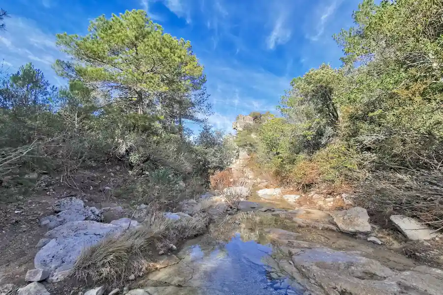 Paisaje del Riu Gorg