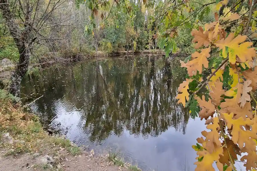Reflejos en el agua de la laguna del Bosque Finlandés