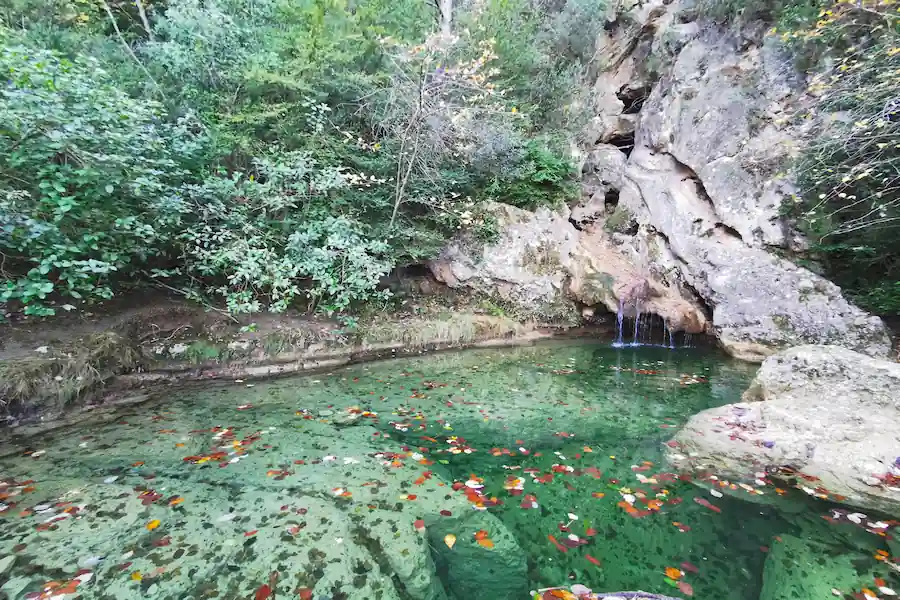 Poza natural en el camino