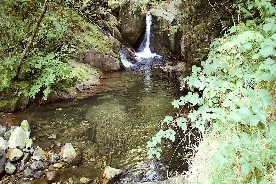 Pequeño salto y poza en el río del Alba