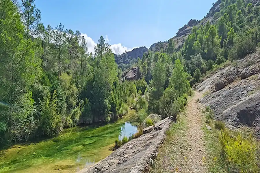 Camino estrecho de la ruta avanzando pegado a la orilla del río