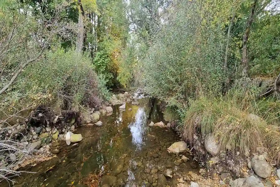 El curso del río Lozoya pasando cerca del Monasterio