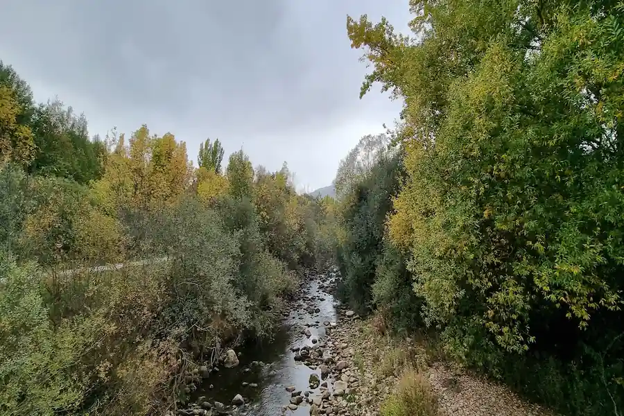 Panorámica del río Lozoya rodeado de bosque de ribera